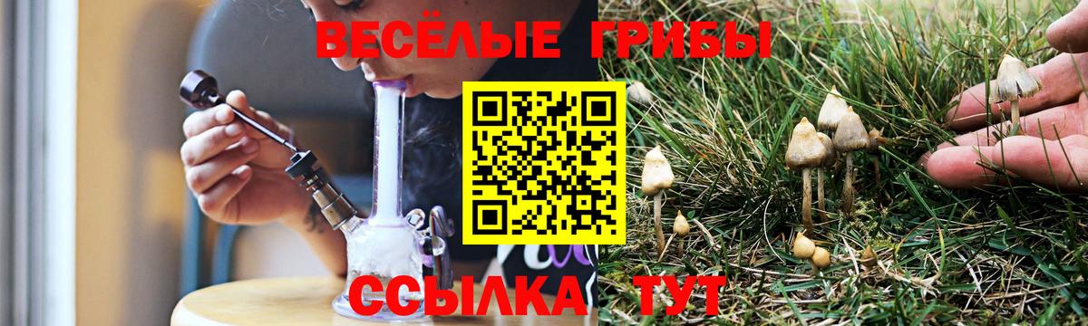 Камышин  Псилоцибиновые грибы ЛСД  Псилоцибиновые грибы MAGIC MUSHROOMS  Вход с VPN 